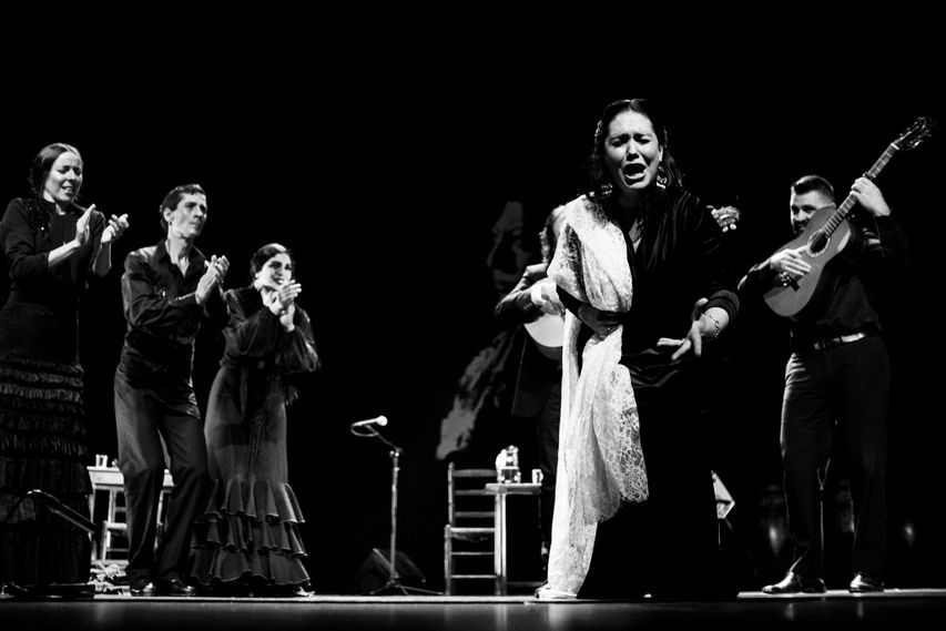 Lince Comunicación Concierto de La Yiya