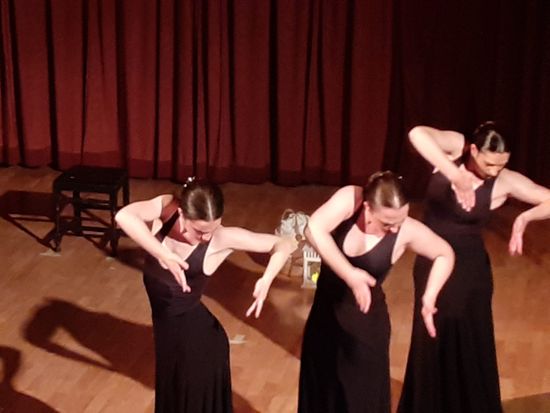 Lince Comunicación Espectáculo de danza Vidalita