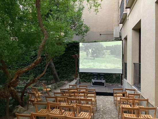 Lince Comunicación Cine de verano
