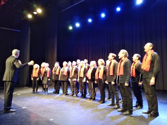 Lince Comunicación Coro Muchas Voces, Una Navidad